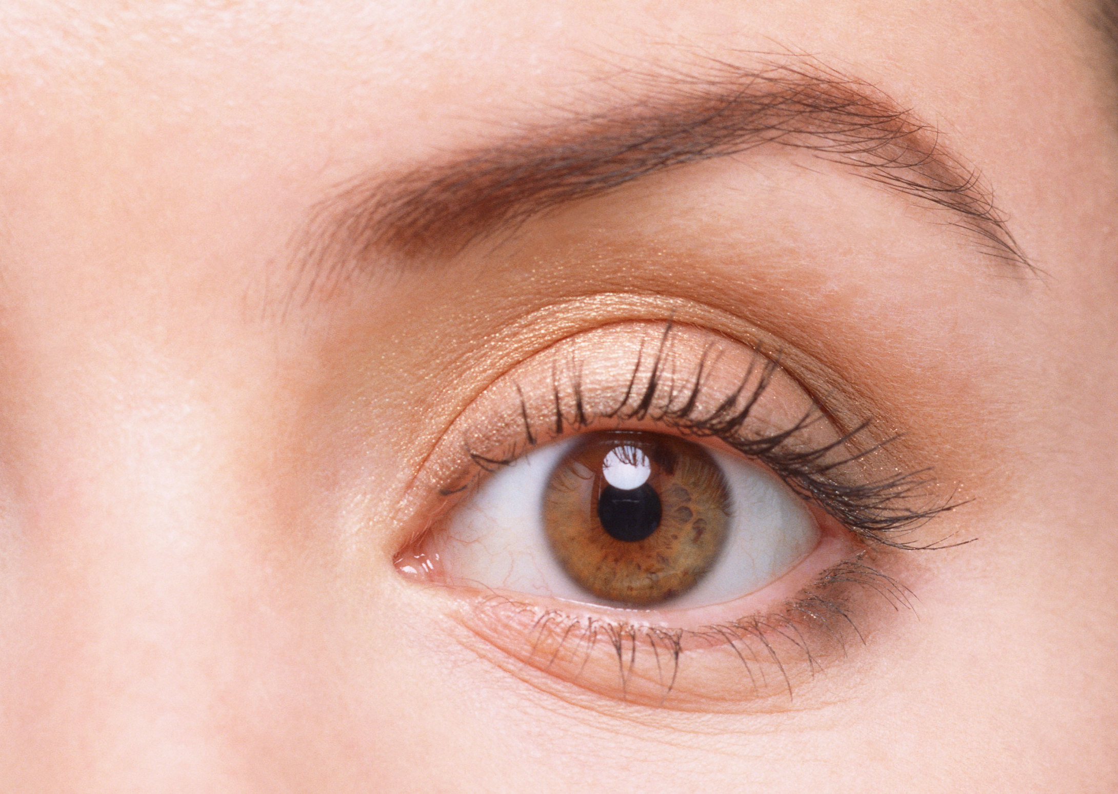 virtual makeup try-on API/SDK